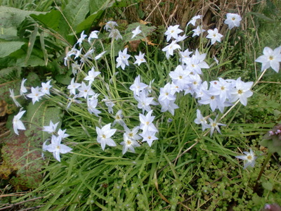 f0144707_85919.jpg