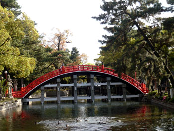 c0008209_20214671.jpg