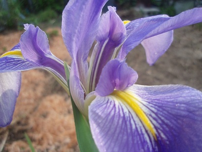 e0071811_22641100.jpg