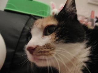 c0201113_19145759.jpg