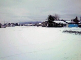f0233414_12145227.jpg