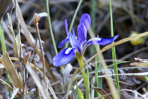 c0042418_9321131.jpg