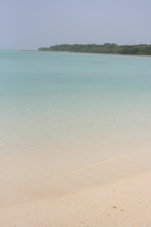 f0097620_1751943.jpg