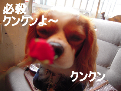 f0214121_22532572.jpg