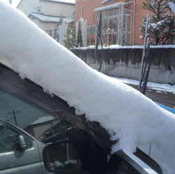 d0004426_11191428.gif