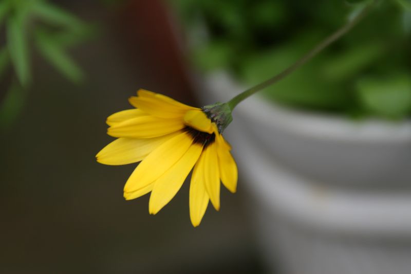 e0033229_2056895.jpg