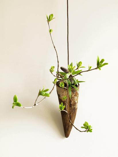 20100415.jpg