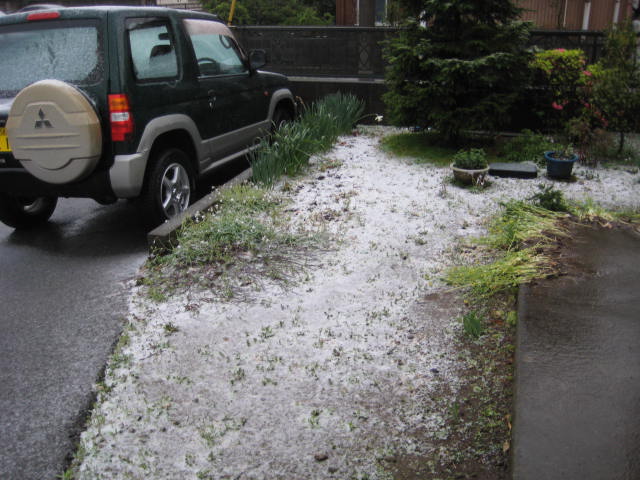 e0166032_2033822.jpg