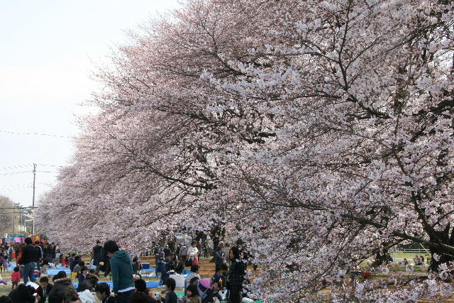 e0064133_23513597.jpg