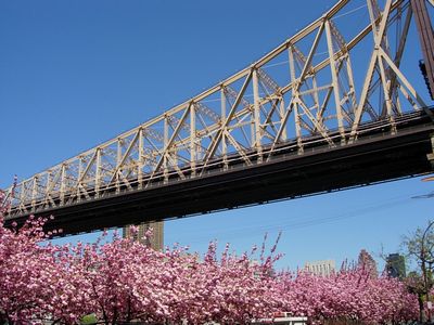 f0200433_21152497.jpg
