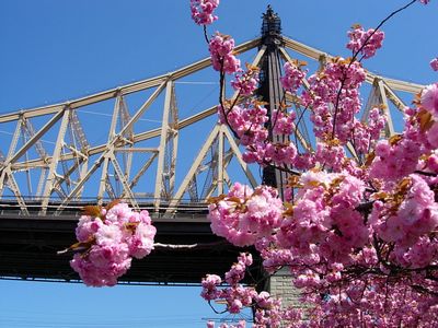 f0200433_2116171.jpg