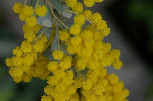 a0017634_2255033.jpg