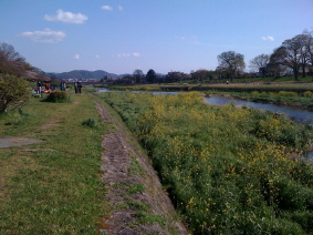f0131934_1848337.jpg