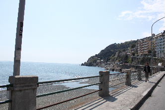 a0059035_805430.jpg
