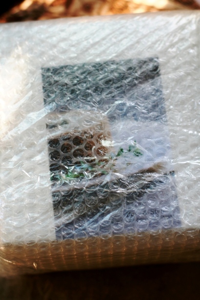 f0157538_21145957.jpg
