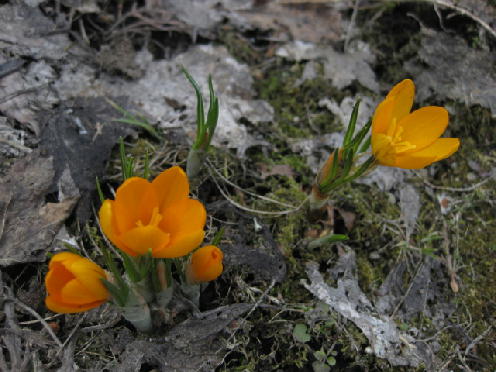 c0117239_12303256.jpg
