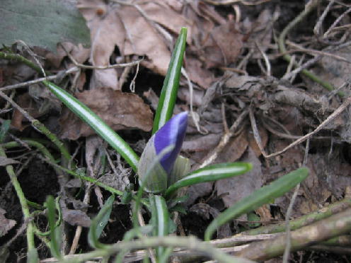 c0117239_12311340.jpg