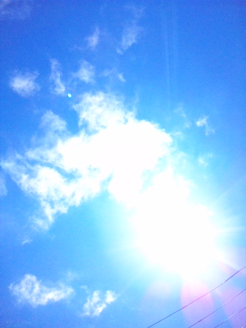 b0139547_12561590.jpg