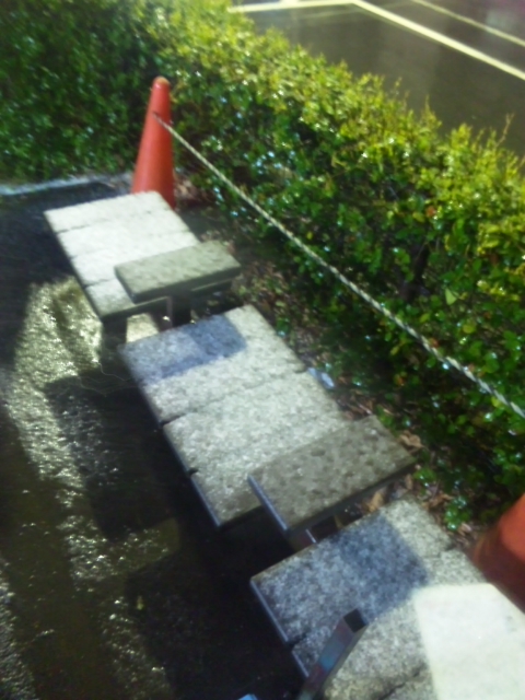 b0139547_3315764.jpg