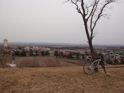a0156548_2014307.jpg