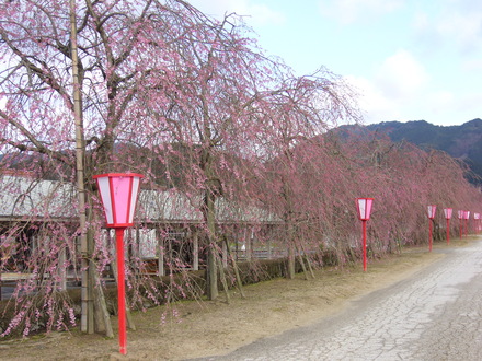 b0174451_741124.jpg
