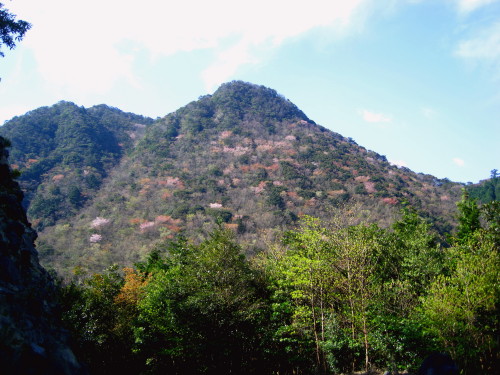 c0179351_2056690.jpg
