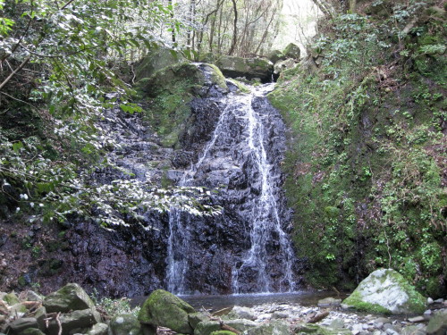 c0179351_20581251.jpg