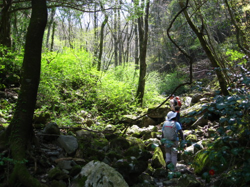 c0179351_21134322.jpg