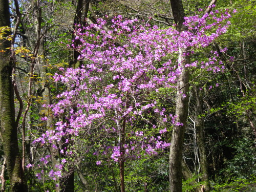 c0179351_2132917.jpg