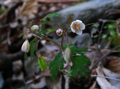 c0179351_2192270.jpg