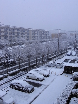 c0003752_23362338.jpg