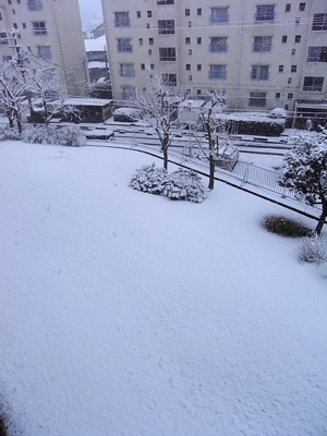 c0003752_23364242.jpg