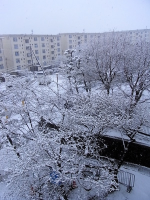 c0003752_2336546.jpg