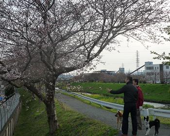 f0034156_15164115.jpg