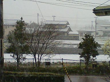 a0096557_7234029.jpg