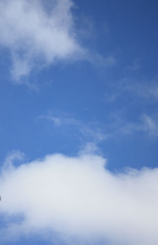 a0154957_10303312.jpg