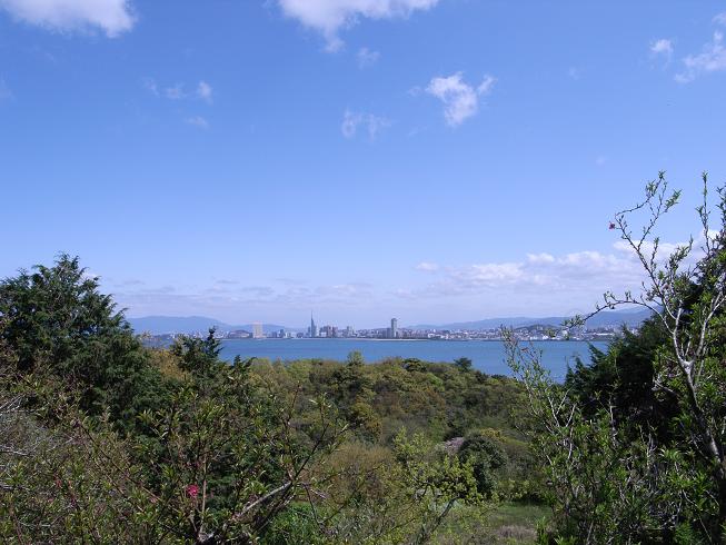 f0201157_1393677.jpg