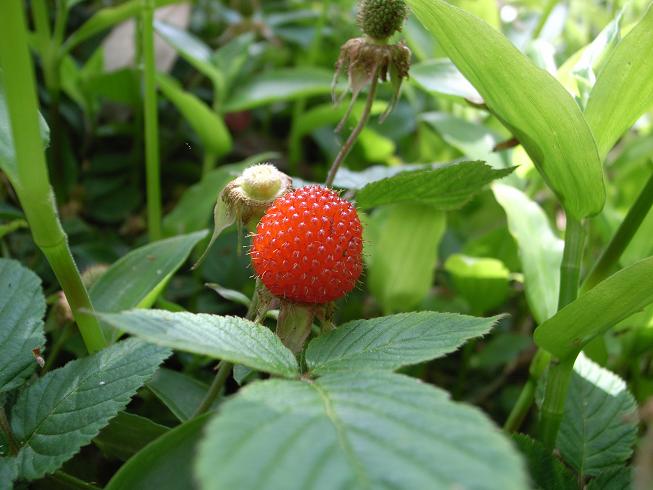 f0201157_1401865.jpg
