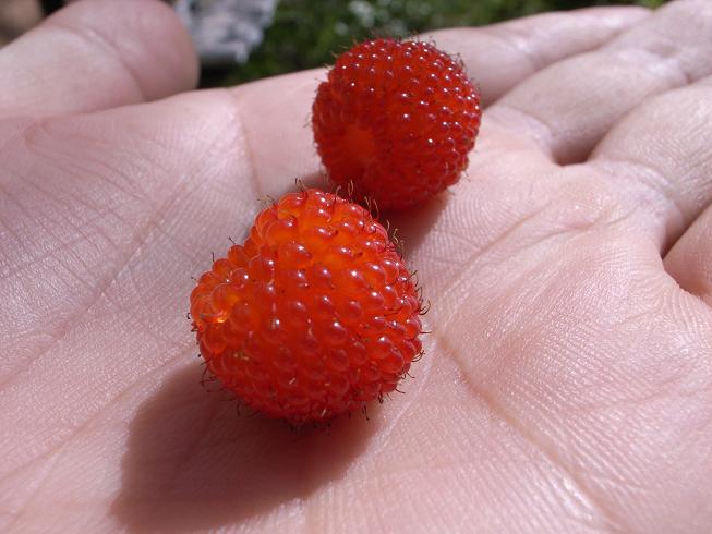 f0201157_14118100.jpg