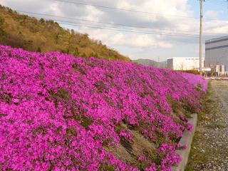 f0221360_17105716.jpg
