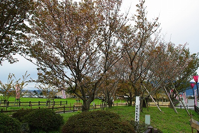 f0106664_6463972.jpg