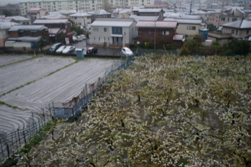 e0095468_1215286.jpg