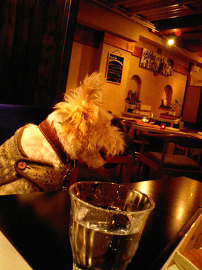 b0091373_235598.jpg