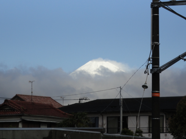 d0109373_2065290.jpg