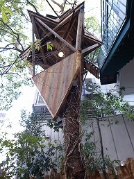 f0030875_17384471.jpg