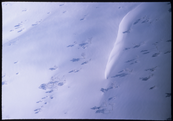 a0053783_22283376.jpg