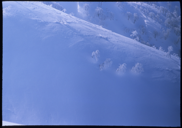 a0053783_22285156.jpg
