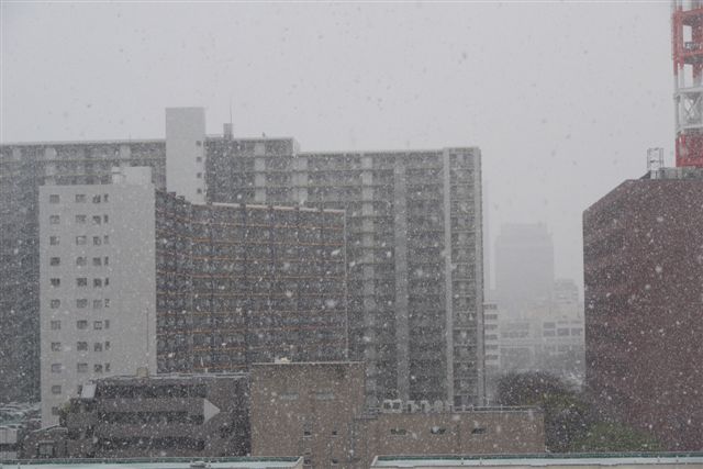 b0175688_914829.jpg