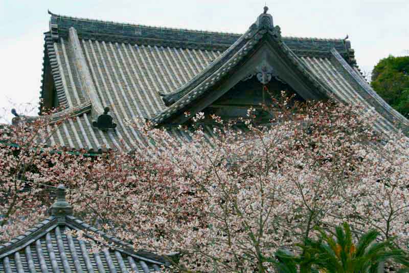 c0208389_965816.jpg