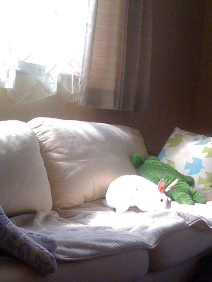 f0201191_10333716.jpg